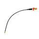 ACSMAUFL